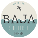 Baja Shell Fish